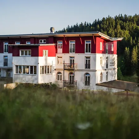 Waldhotel - Familien Und Wellnesshotel