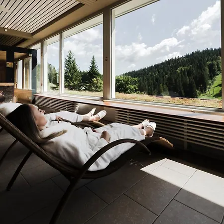 Waldhotel - & Wellness 4* Todtnau