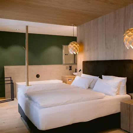Waldhotel - & Wellness 4* Todtnau